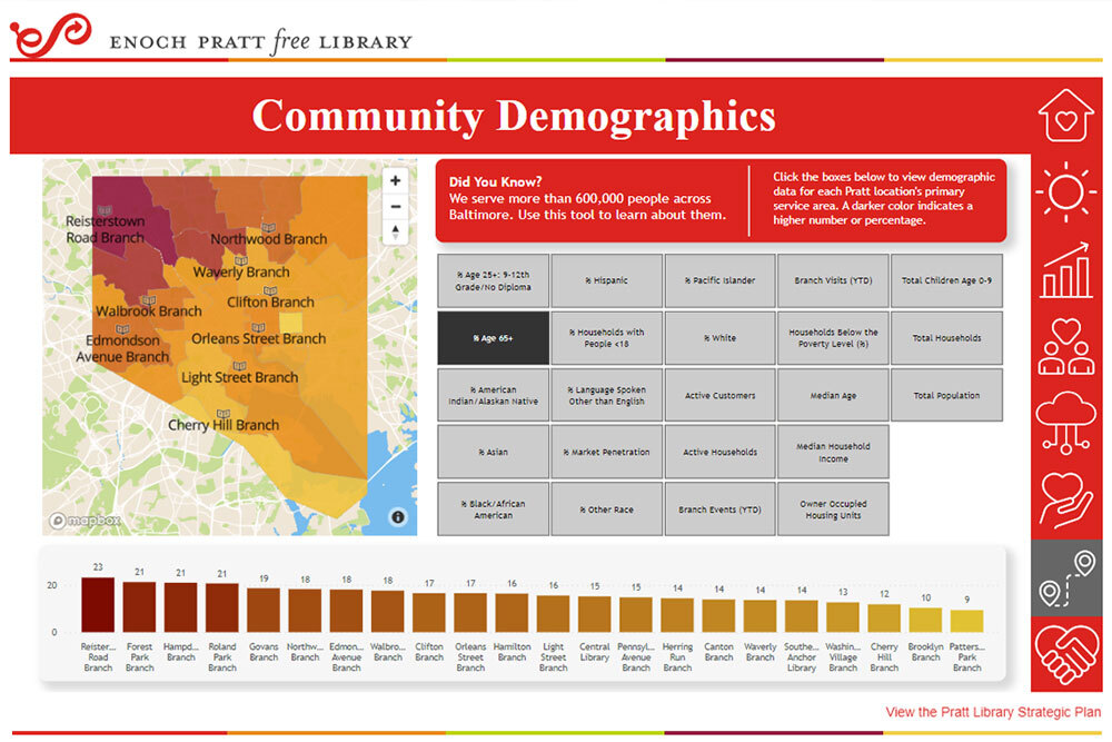 Advancing Equity Dashboard - Demographics page example screengrab