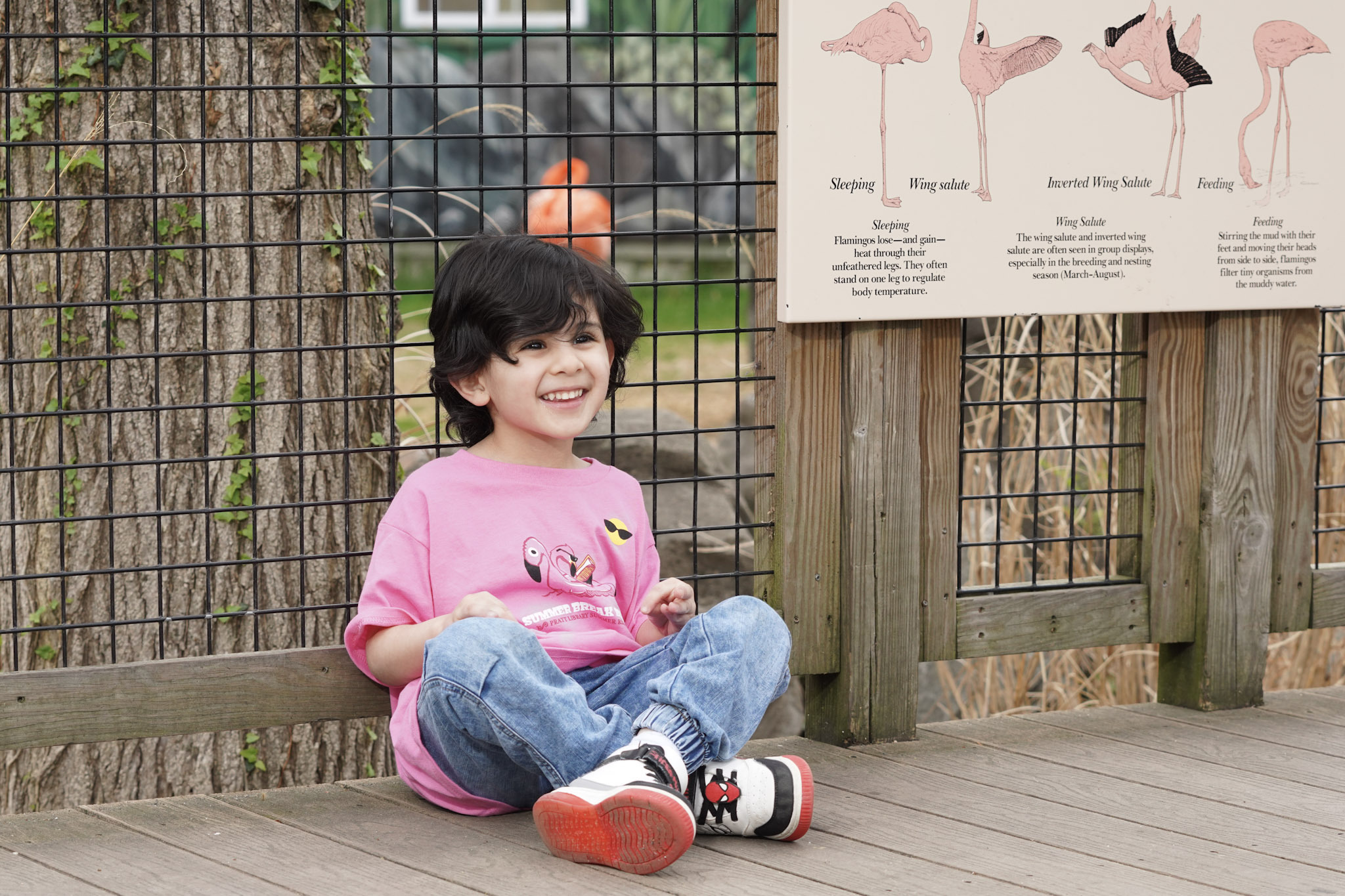 smiling child wearing a Summer Break Baltimore t-shirt by flamingo sign at the zoo