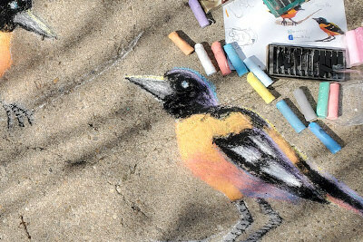 Arts @ the Pratt - sidewalk chalk oriole bird