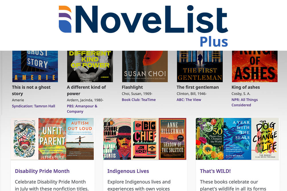 Novelist Plus database with logo and sample books