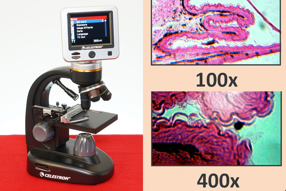 Celestron Digital Microscope with slide closeup