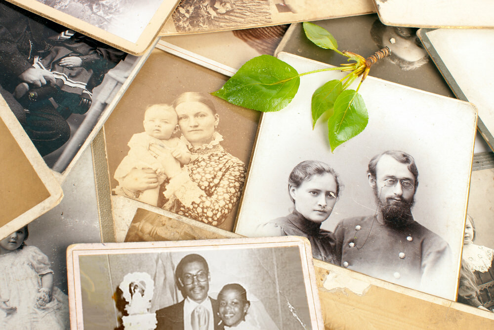Genealogy and family history research - old family photographs and leaves