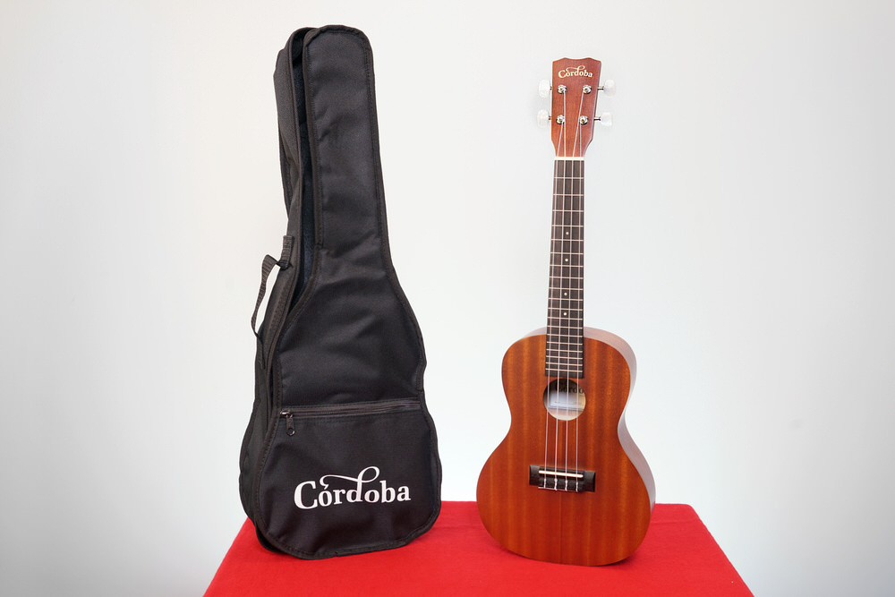 Cordoba ukulele and case