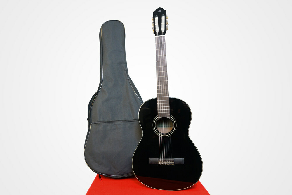 acoustic guitar and case