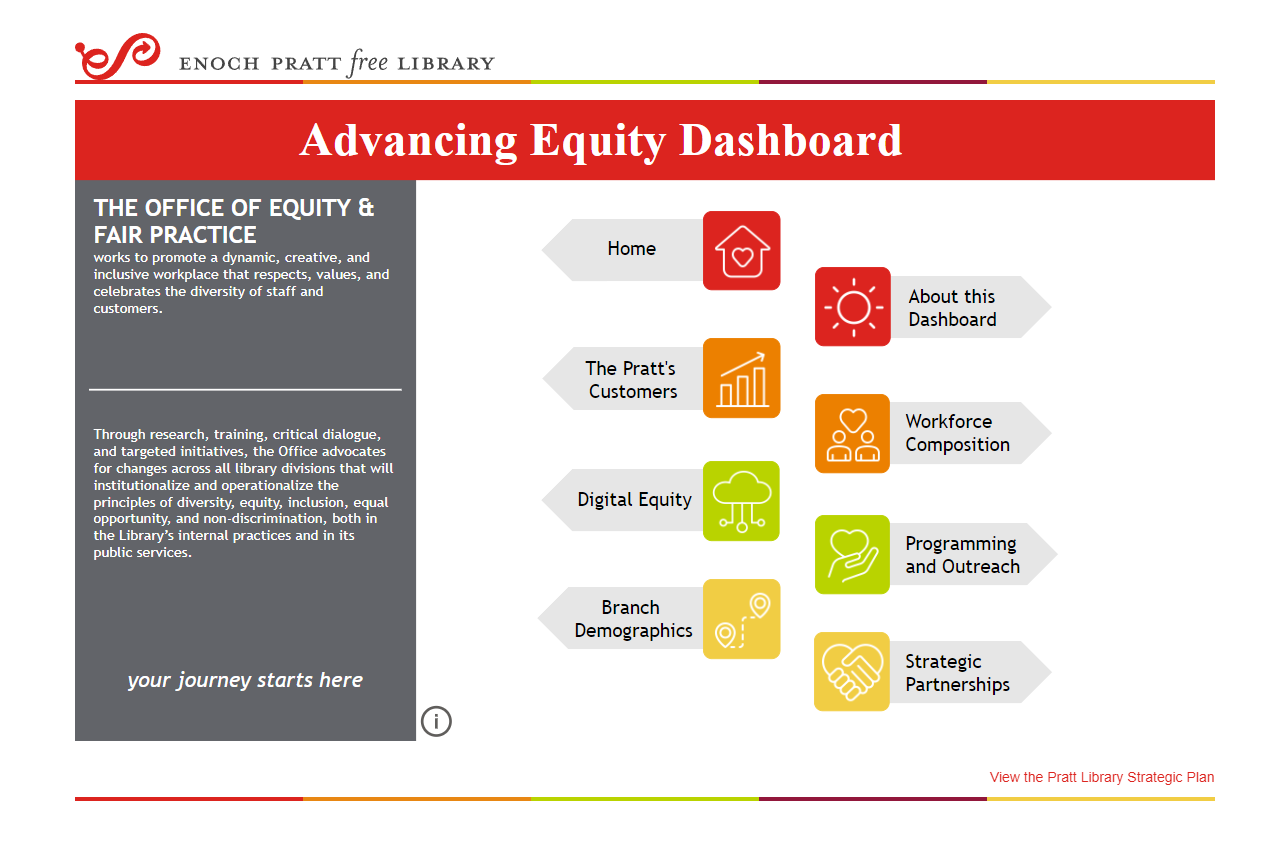 Advancing Equity Dashboard - main page example screengrab