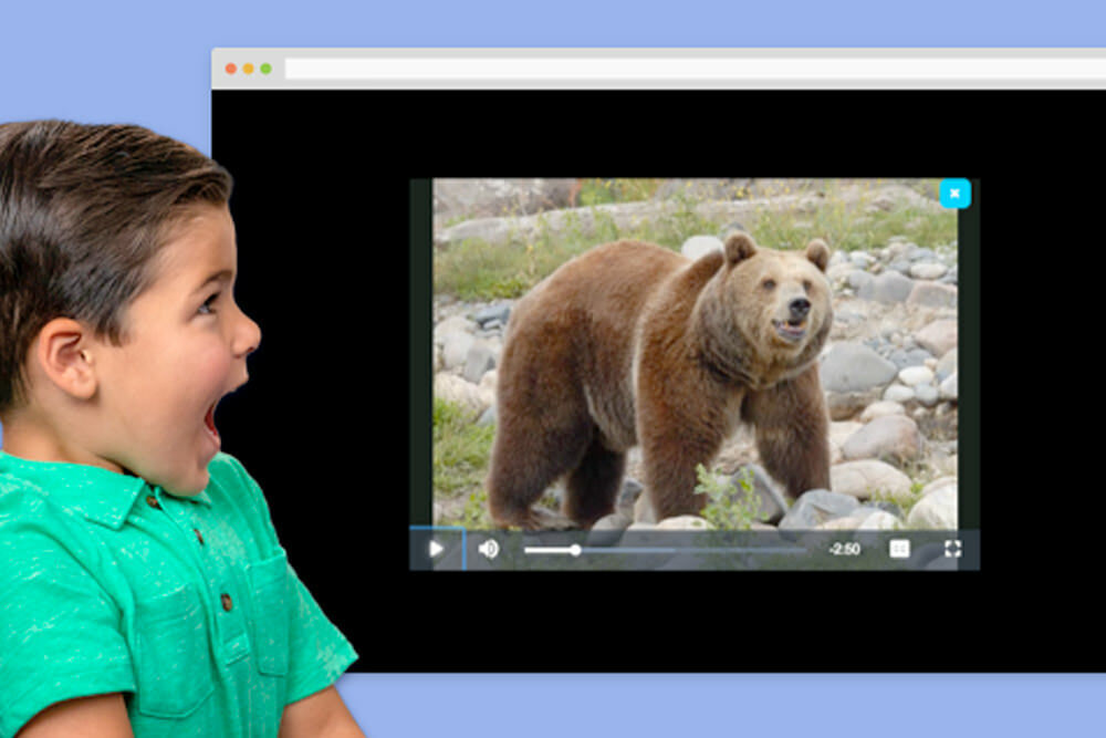 Watch and Learn Library database for young kids - a boy surprised by a bear on video