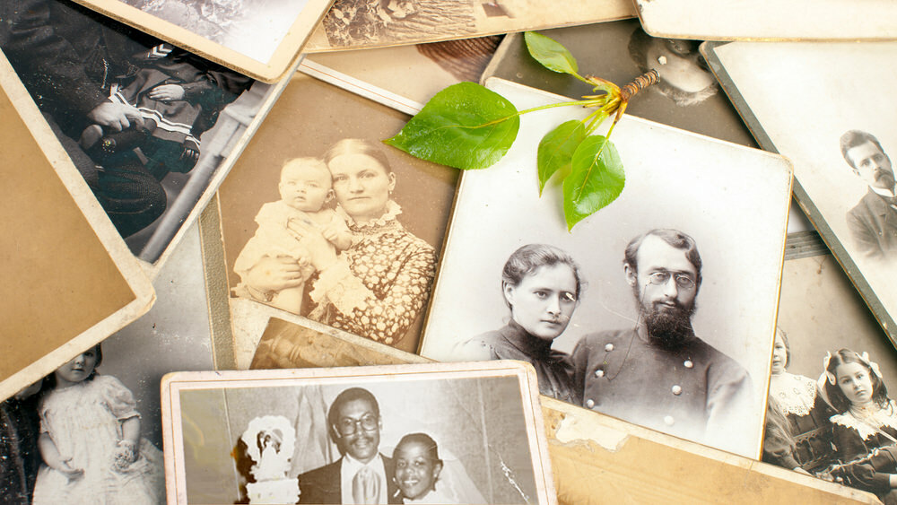 genealogy and family history research - old photos and tree leaves