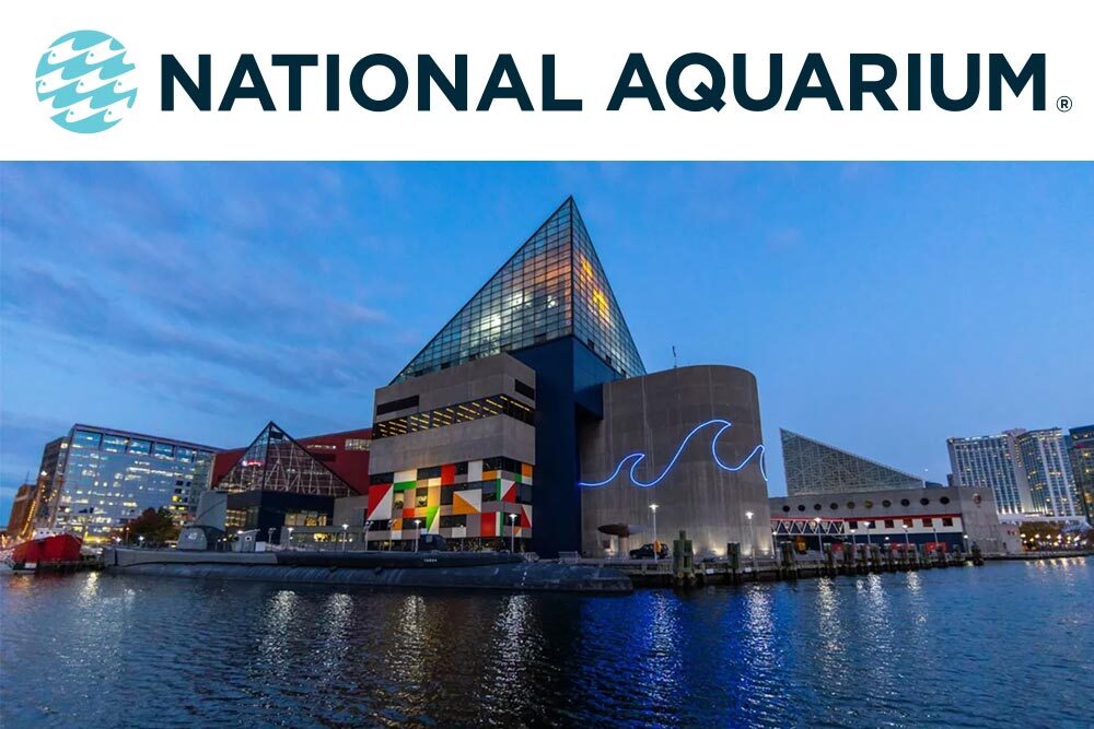 The National Aquarium.