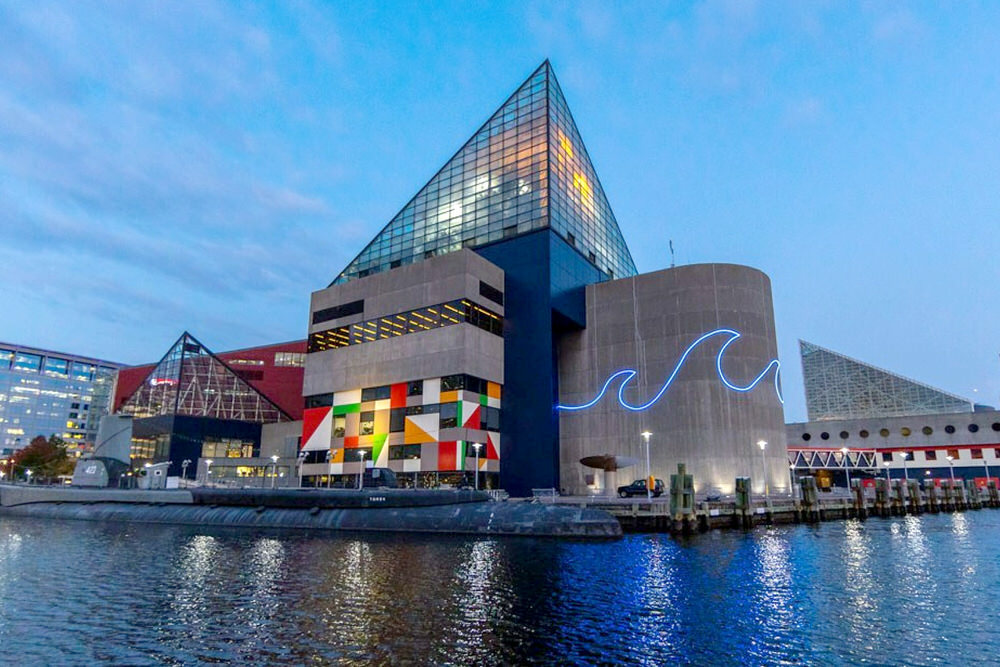 The National Aquarium in Baltimore