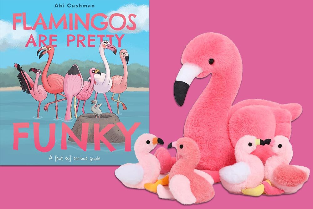 June Summer Break Baltimore prize: Flamingoes Are Pretty Funky book and plushies