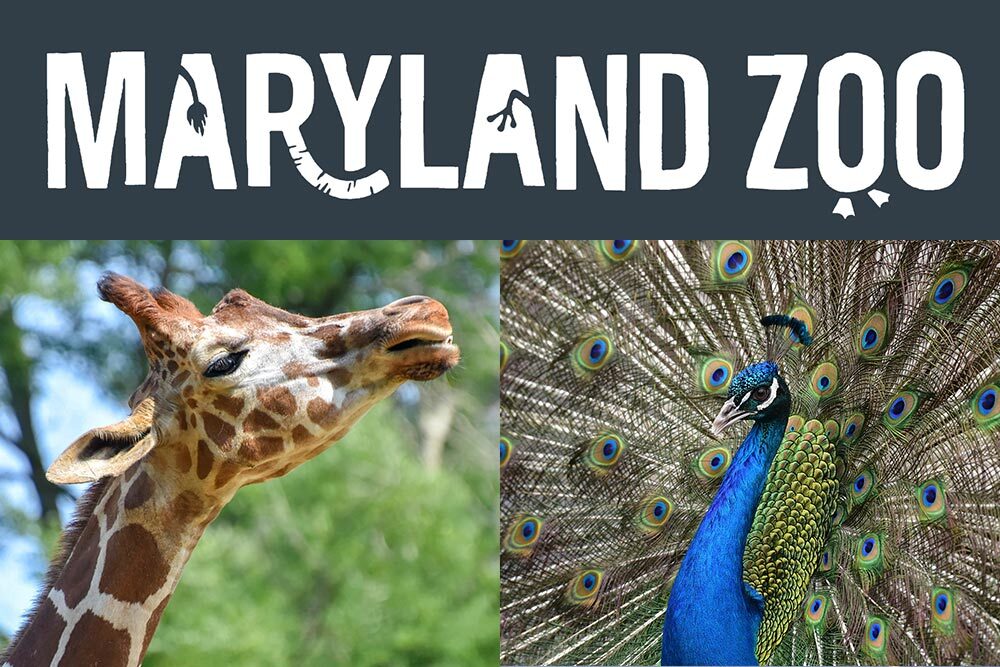 The Maryland Zoo.